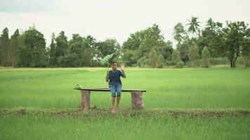 contento vida de rural niños en campo de tailandia video