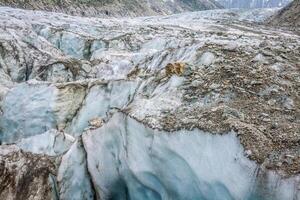 Argentiere Glacier view, Chamonix, Mont Blanc Massif, Alps, France photo