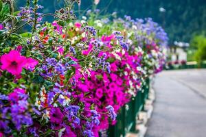 calle decorado por flores,chamonix mont blanco, francia foto