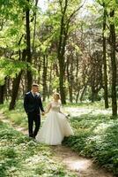 the groom and the bride are walking in the forest photo