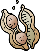 cartoon doodle peanuts in shell png