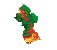 mapa de guyana con los colores de la bandera rojo verde y amarillo mapa en relieve sombreado ilustración 3d png