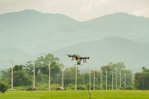 Agriculture drones flying about sweet corn fields to spray fertilizer is an agricultural smart farm business concept with a mountain background. photo