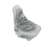 Barbados Map Barbados Flag Shaded relief Color Height map 3d illustration png