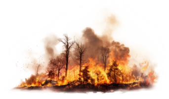 ai generado bosque fuego natural desastre aislado en transparente png