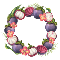 Mangosteen watercolor round Frame. Hand drawn illustration of Wreath with exotic tropical Fruit for template on isolated background. Drawing of Border with asian food, flowers and palm leaves png