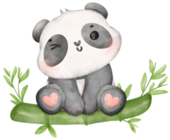 bebé panda con bambú acuarela, bebé ducha guardería animal ilustración png