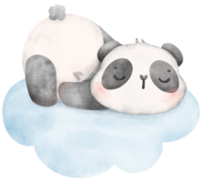 bébé Panda en train de dormir sur nuage aquarelle, bébé douche garderie animal illustration png