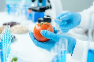 Scientist check chemical food residues in laboratory. Control experts inspect quality of fruits, vegetables. lab, hazards, ROHs, find prohibited substances, contaminate, Microscope, Microbiologist photo