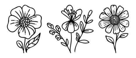 Hand drawn vector design floral elements