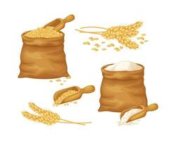 Wheat. A large set with an image of wheat in a bag, a wheat ear and wheat flour in a bag. Cereals, vector illustration