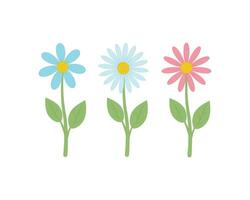 Flower set . Cute wild flower in cartoon style. Chamomile flower. Vector illustration isolated on a white background