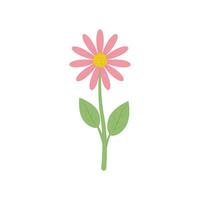 Flower. Cute wild flower in cartoon style. Chamomile flower. Vector illustration isolated on a white background