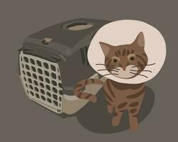 Transporting the cat to the veterinary clinic. A visit to a veterinary clinic. vector