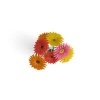 Gerbera Bouquet Mixed Petals and Leaves A Floral Journey isolated on white background photo