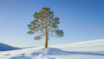 ai generado solitario pino árbol en nieve campo foto
