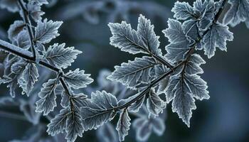 AI generated Frosty Leaves Branch photo