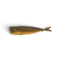 Fish Horizontally placed cutting side view photo on white background