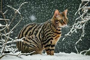 ai generado a rayas gato sentado en nieve foto