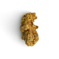 Fried chicken isolated on white background single part on white background photo