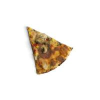 A single part delicious pizza on white background photo