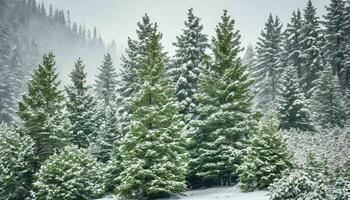 AI generated Evergreen Trees Covered in Snow photo