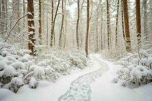 AI generated Path in Snowy Forest photo
