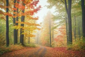 ai generado otoño bosque ruta en niebla foto