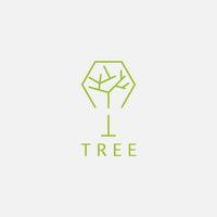 Tree logo with hexagon shape. vector