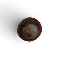 Chesnut single food item on white background photo from front view
