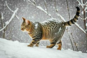 ai generado a rayas gato caminando en nieve foto