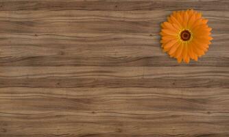 Rosewood Reverie Wood Texture Backdrop photo