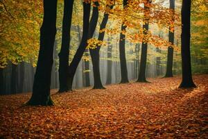 AI generated Dense Autumn Forest photo