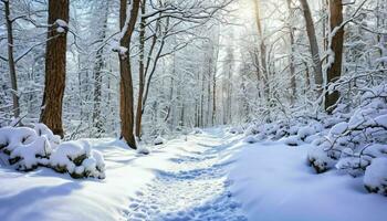 ai generado Nevado camino en invierno bosque foto