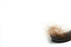 Hair loss in comb, hair fall everyday serious problem, on white background. photo