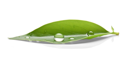 ai généré surface tension sur une feuille avec l'eau gouttelettes png