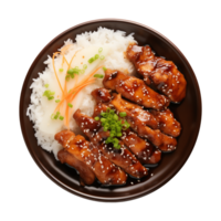 AI generated A plate of teriyaki chicken with rice isolated on a transparent background, top view png