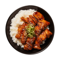 AI generated A plate of teriyaki chicken with rice isolated on a transparent background, top view png