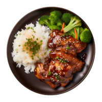 AI generated A plate of teriyaki chicken with rice isolated on a transparent background, top view png