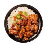 AI generated A plate of teriyaki chicken with rice isolated on a transparent background, top view png