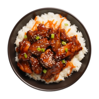 AI generated A plate of teriyaki chicken with rice isolated on a transparent background, top view png