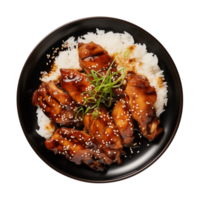 AI generated A plate of teriyaki chicken with rice isolated on a transparent background, top view png