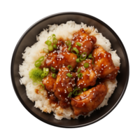 AI generated A plate of teriyaki chicken with rice isolated on a transparent background, top view png