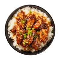 AI generated A plate of teriyaki chicken with rice isolated on a transparent background, top view png