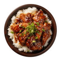 AI generated A plate of teriyaki chicken with rice isolated on a transparent background, top view png