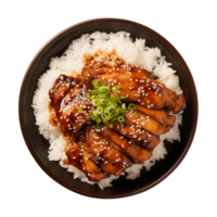 AI generated A plate of teriyaki chicken with rice isolated on a transparent background, top view png