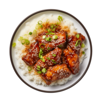 AI generated A plate of teriyaki chicken with rice isolated on a transparent background, top view png