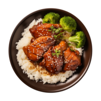 AI generated A plate of teriyaki chicken with rice isolated on a transparent background, top view png