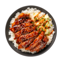 AI generated A plate of teriyaki chicken with rice isolated on a transparent background, top view png