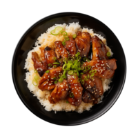 AI generated A plate of teriyaki chicken with rice isolated on a transparent background, top view png